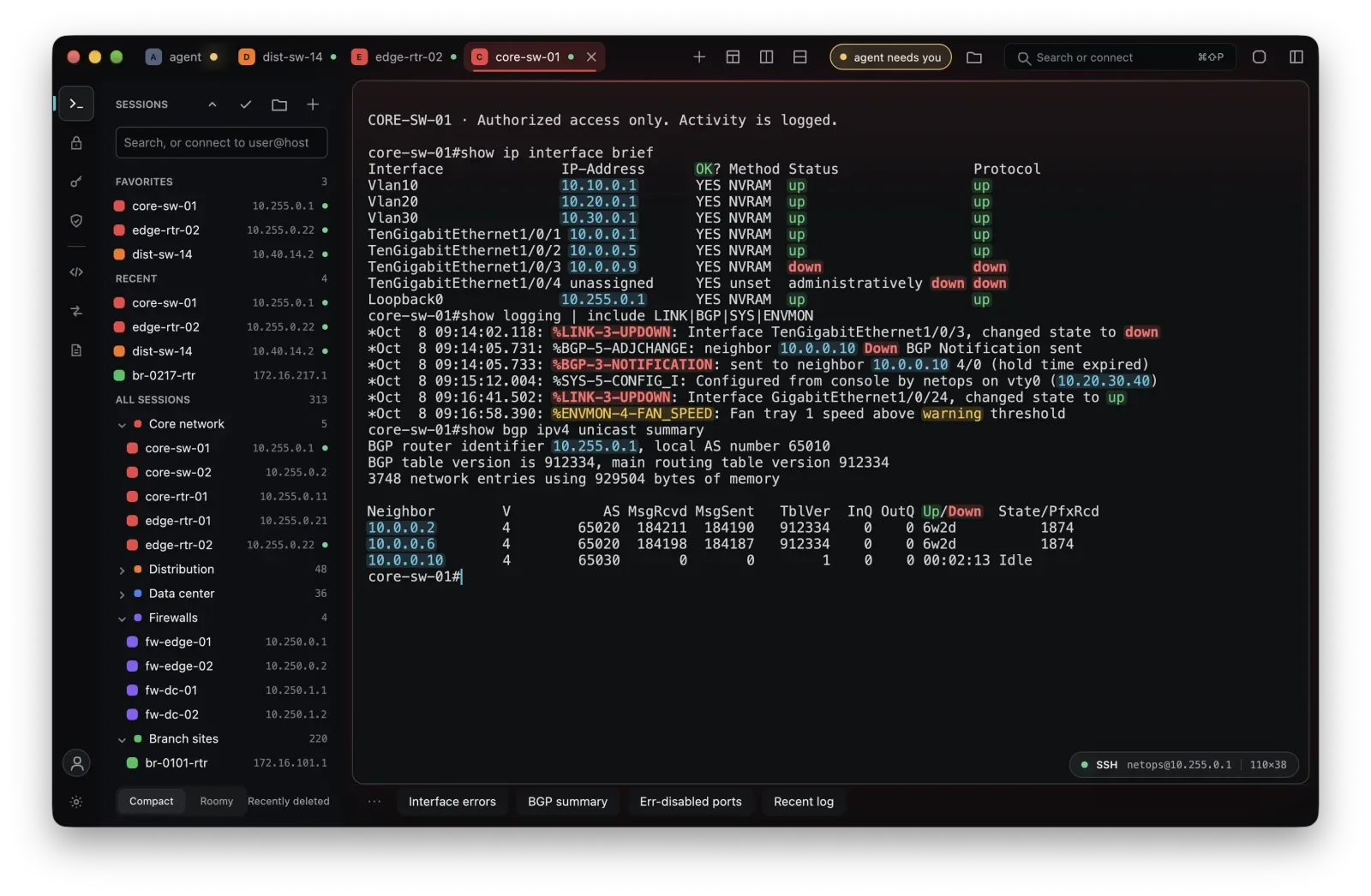 Termyn terminal with grouped network sessions and interface status output in the active session.